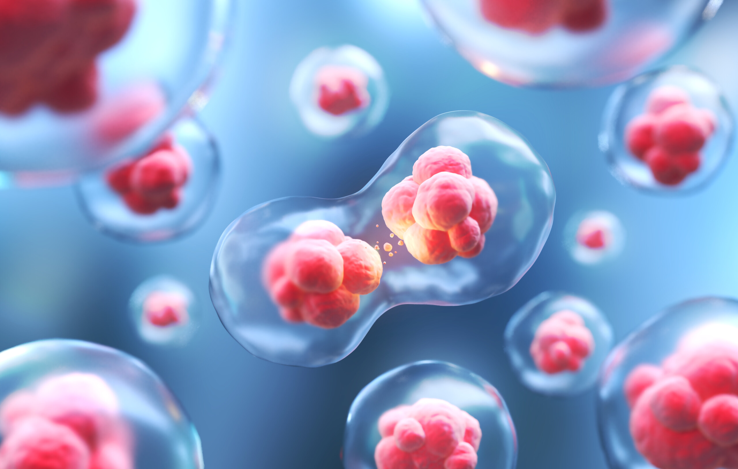 human-cell-embryonic-stem-cell-microscope-background-scaled.jpg